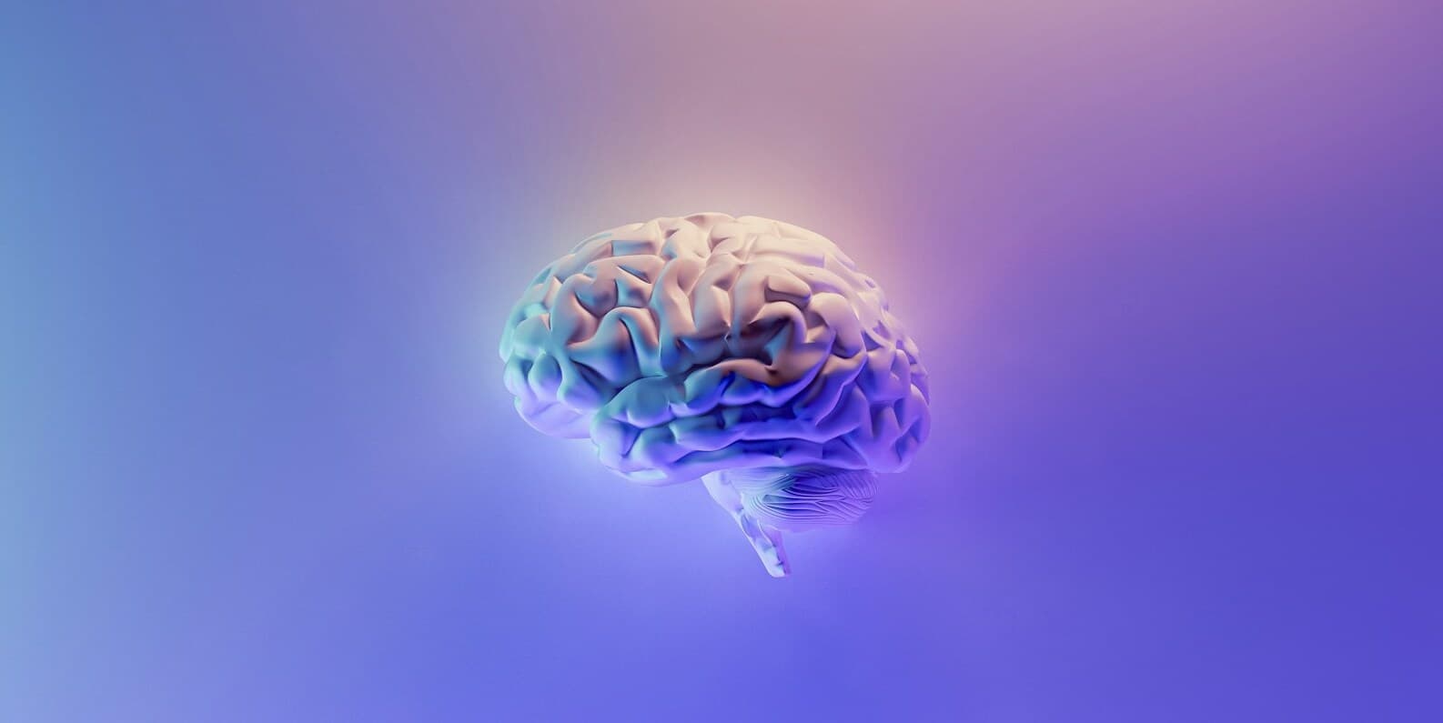 Cover image for Build your brain, build your will: The neuroscience of embracing hard work