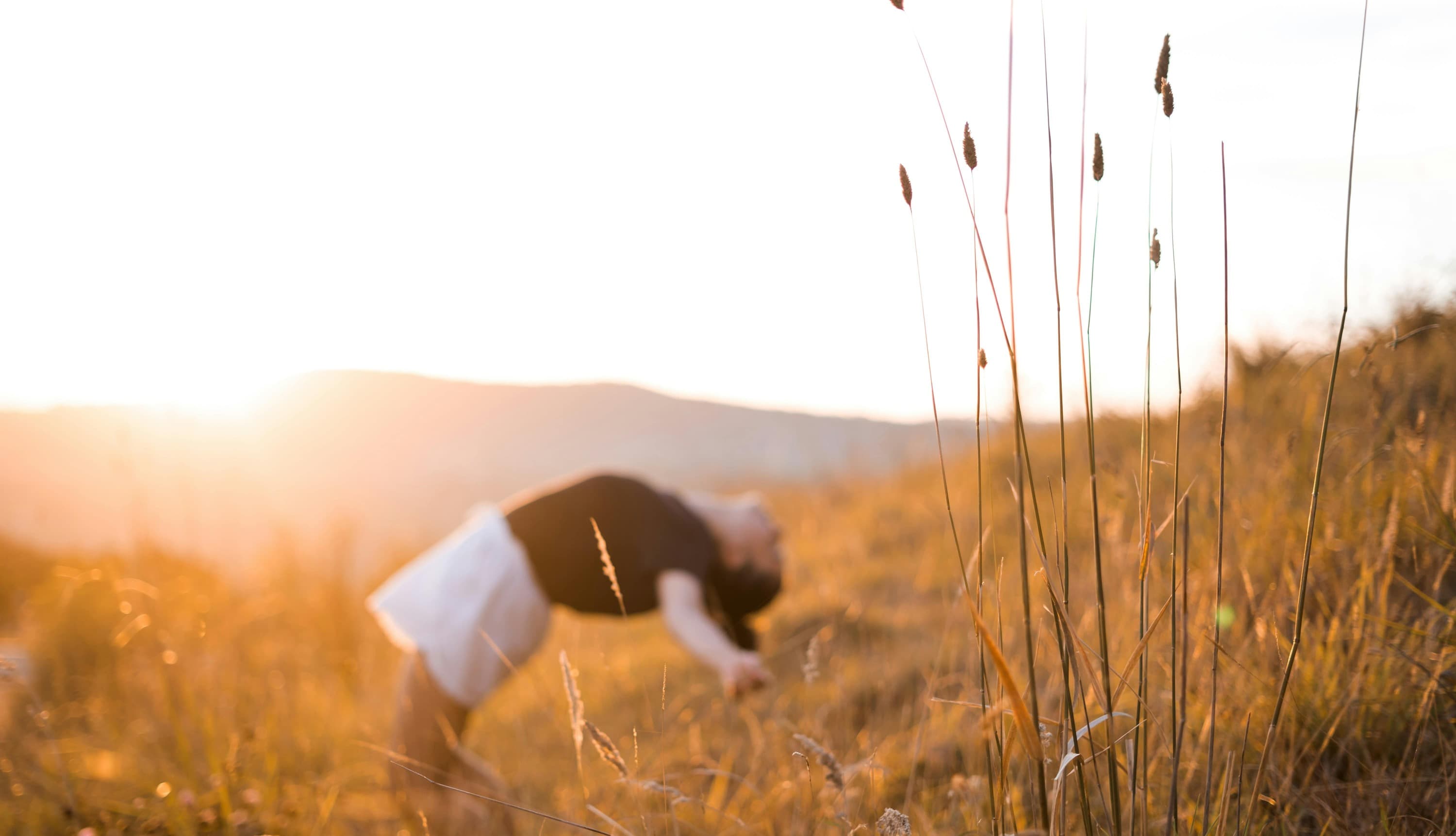 Cover image for Sleep like a boss: Master your circadian rhythm